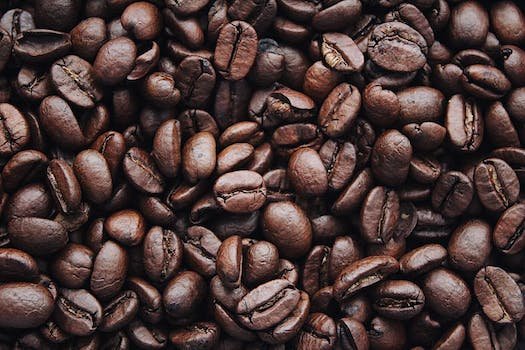 Tout savoir sur l'univers du café
